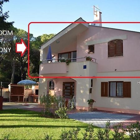 Apartments Sime Soline Biograd Na Moru Dış mekan fotoğraf