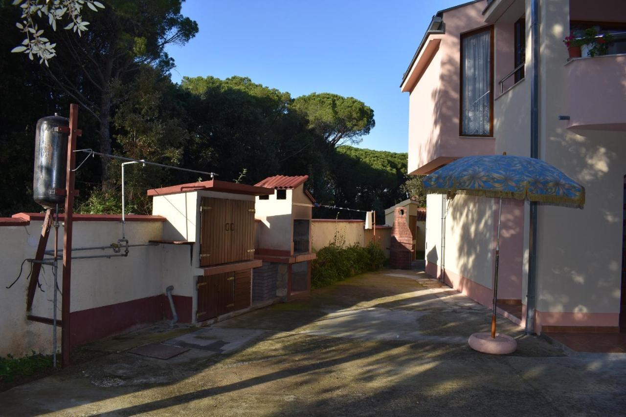 Apartments Sime Soline Biograd Na Moru Dış mekan fotoğraf