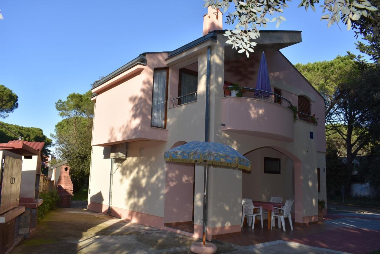 Apartments Sime Soline Biograd Na Moru Dış mekan fotoğraf